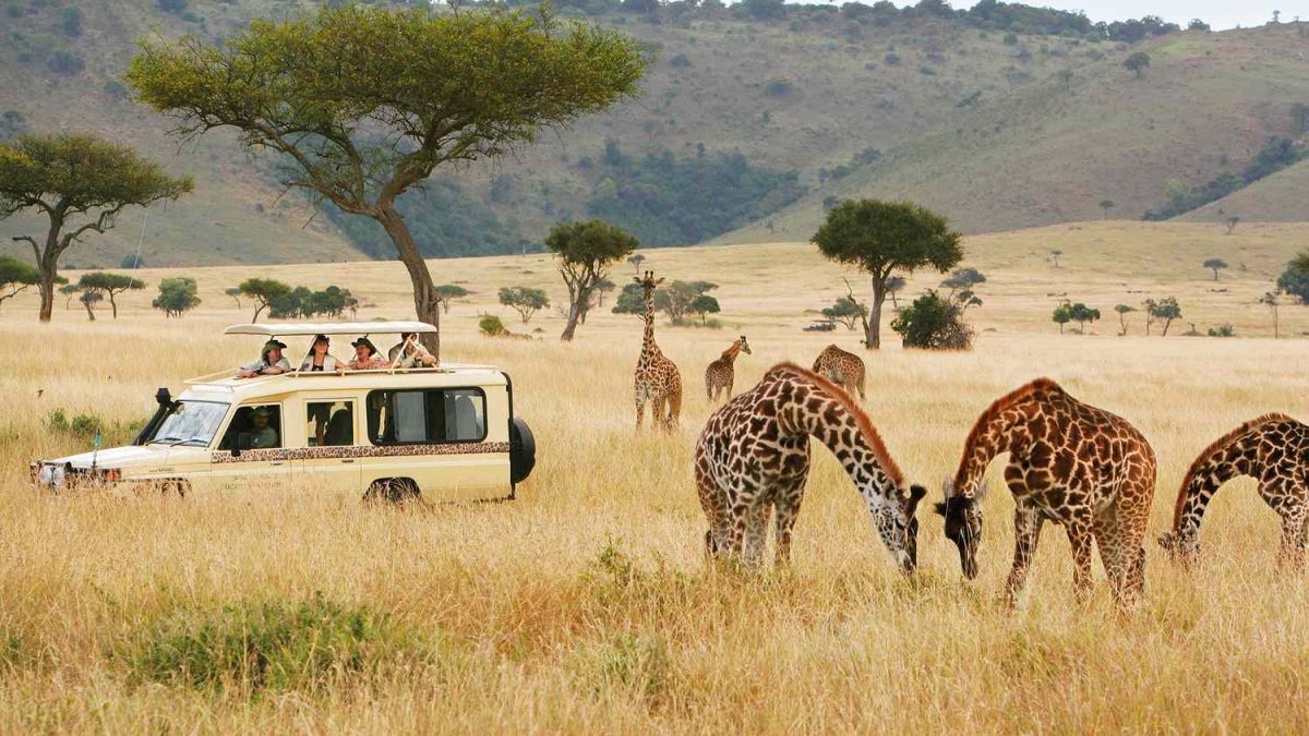 Kenya safari