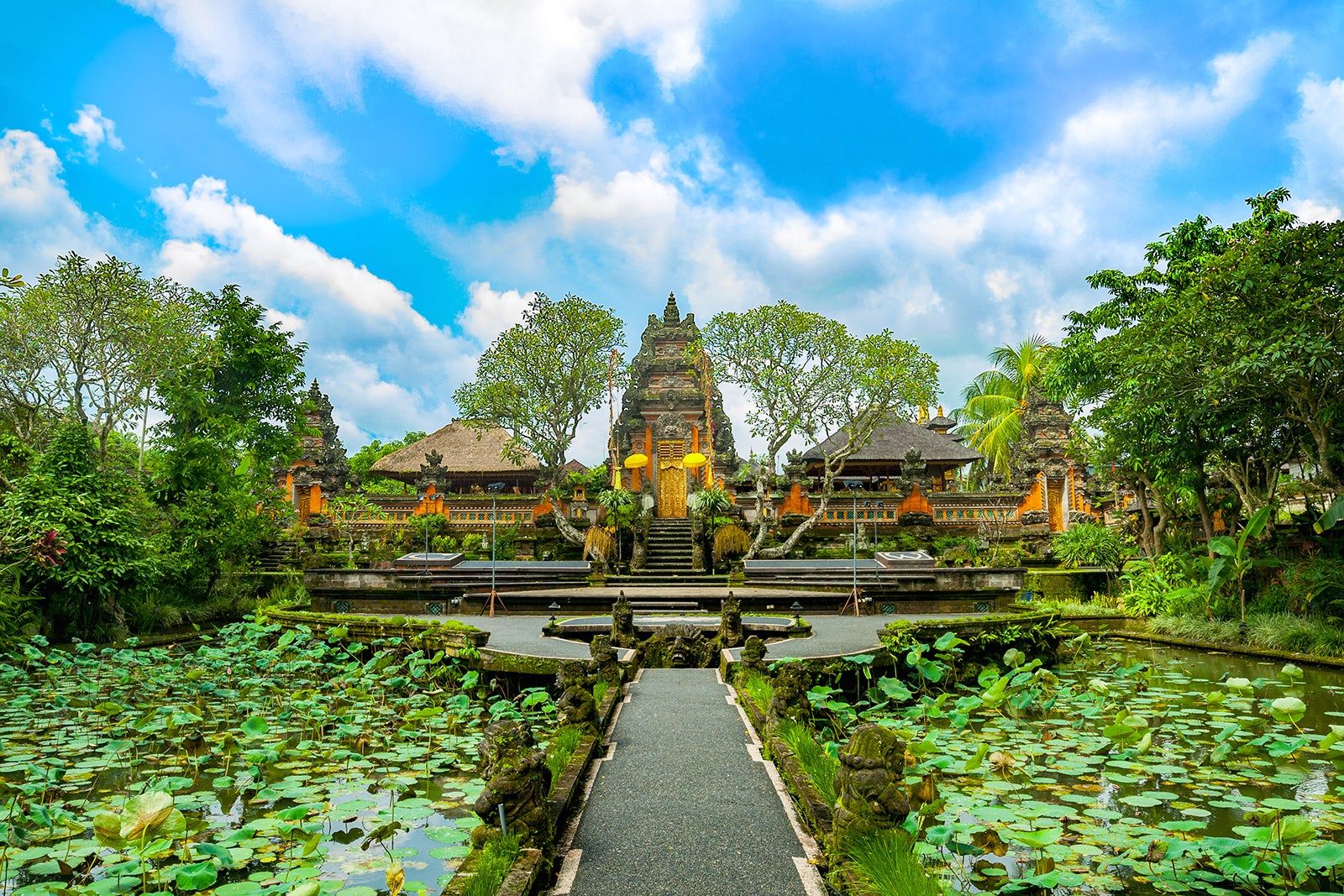 Bali Tropical Escape