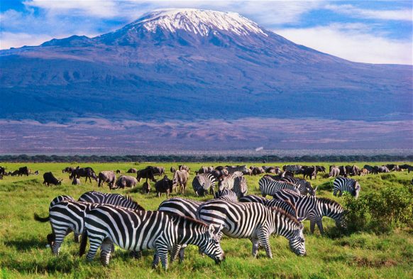 Amboseli October Safari Special